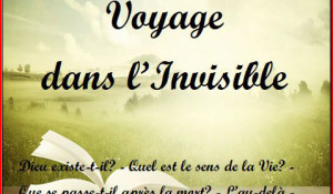 VOYAGE DANS L&rsquo;INVISIBLE