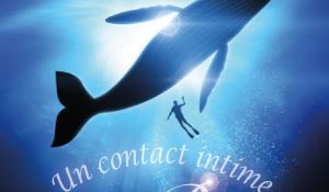 CONTACT INTIME AVEC LES BALEINES