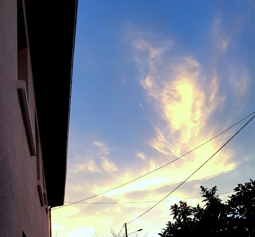 dec 2015 28-2