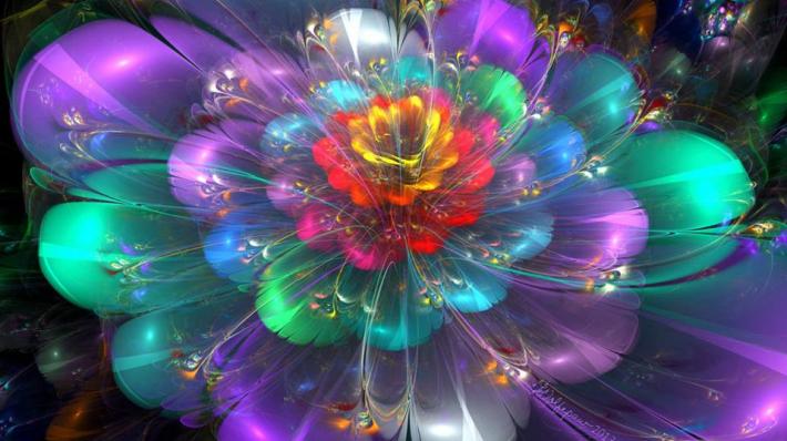 fleur-lumiere-compressor (1)