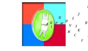 DICTIONNAIRE DU LANGAGE DE VOS DENTS